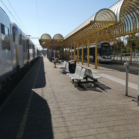 Vakantie Aan Zee De Panne Zewnętrze zdjęcie